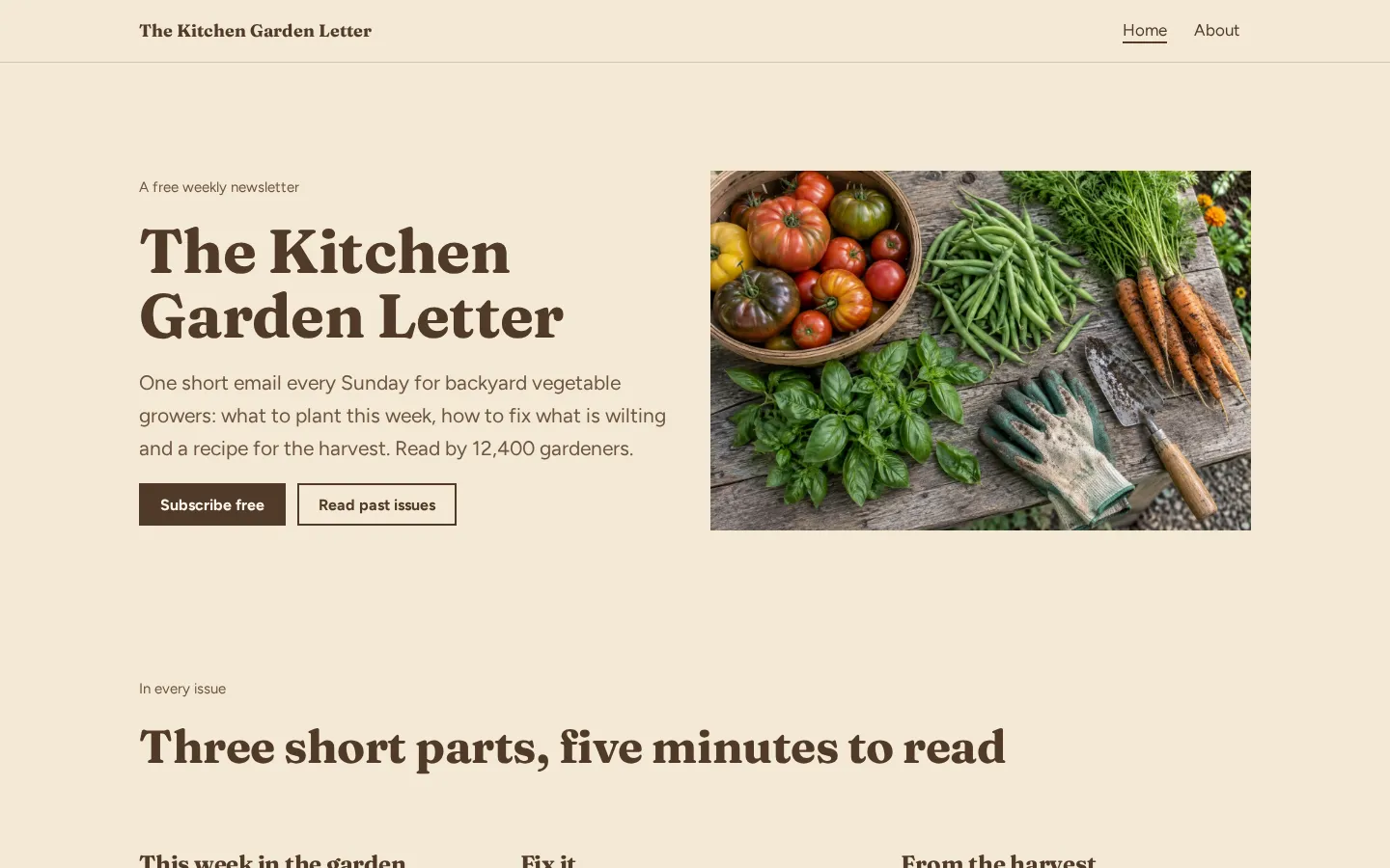The newsletter website template on a desktop screen